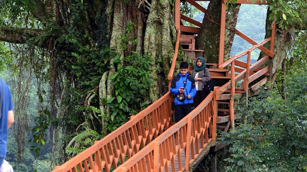 10 Tempat Wisata di Jonggol Bogor Paling Hits dan Instagenic - Koran