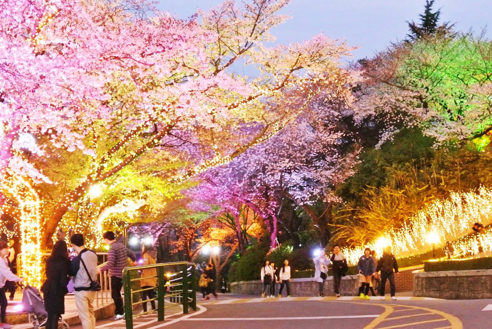 Ragam Festival di Korea yang Wajib Dikunjungi Saat Liburan di Bulan Mei