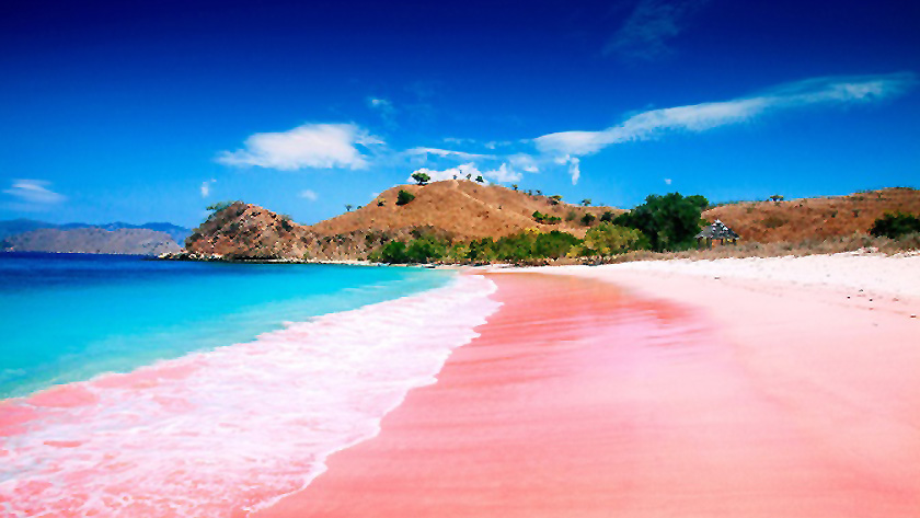 Destinasi Wisata Terbaik Berwarna Pink